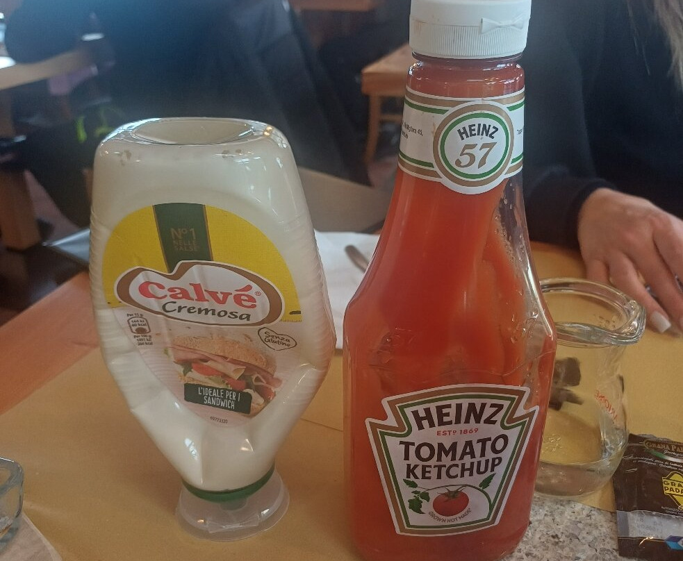 弗洛拉阿尔皮纳酒店主图