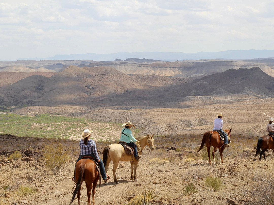 Big Bend & Lajitas Stables-Terlingua必去景点