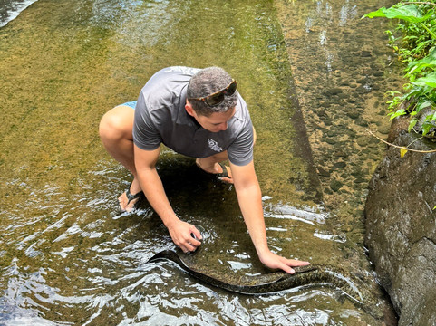 莫雷阿岛ATV之旅-莫雷阿岛必去景点