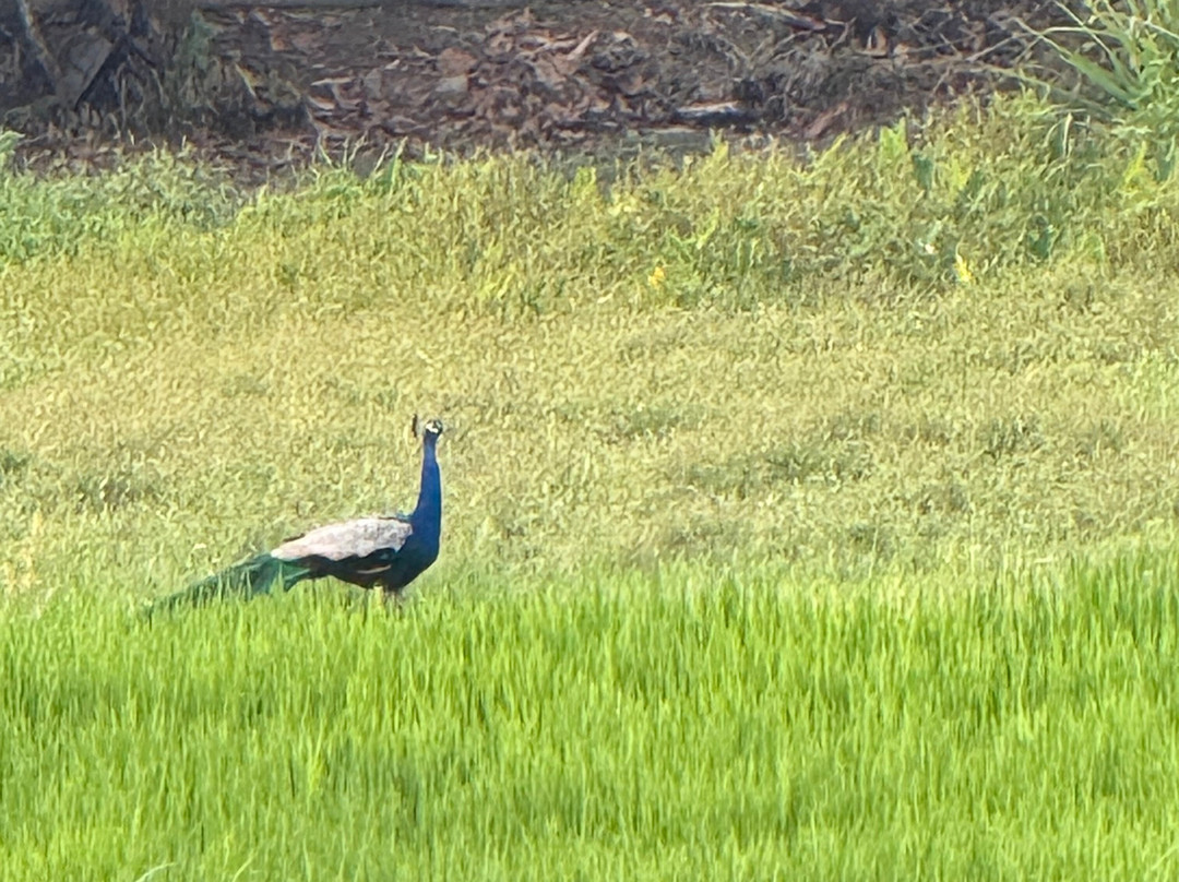 休闲地酒店主图