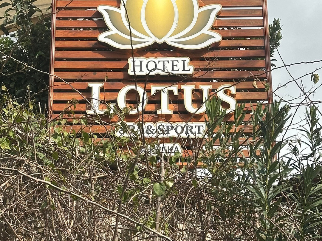 Gokova酒店住宿-Hotel Lotus Spa&sport Akyaka