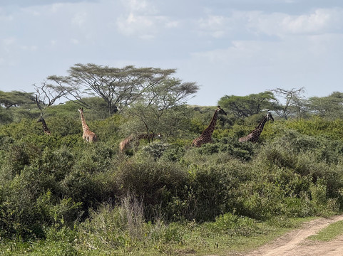 EverseenAfrica-霍德斯普鲁特必去景点