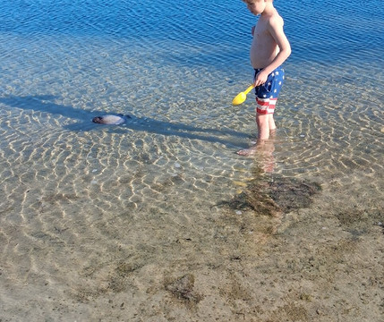 Harry Harris Park-拉哥岛必去景点