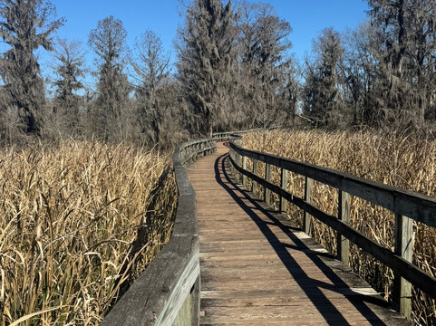 Phinizy Swamp Nature Park-奥古斯塔必去景点