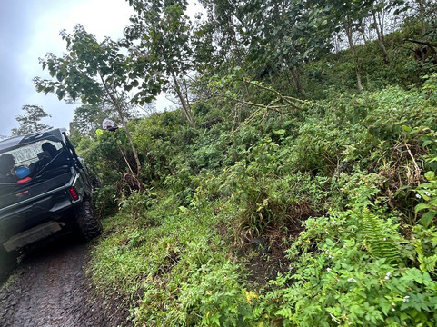 Ohana Ranch-山景城必去景点