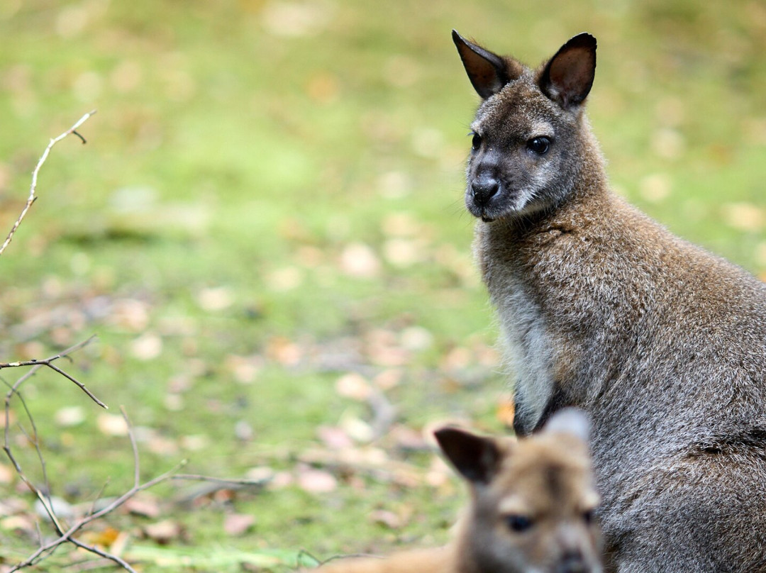 Wild Ireland-Burnfoot必去景点