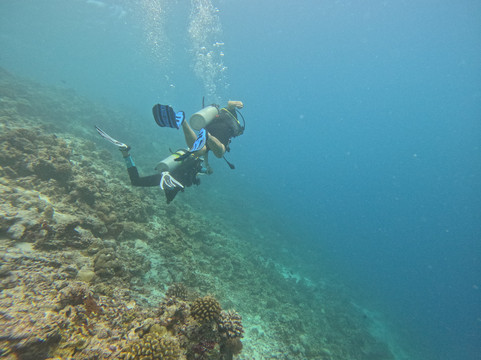 Euro-Divers Niva Kurumba Maldives-库鲁巴椰子岛必去景点