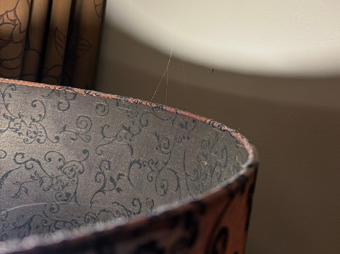 风铃草酒店主图