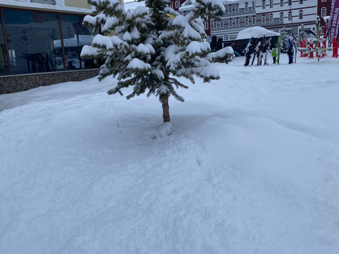 萨勒卡默什雪花山酒店主图