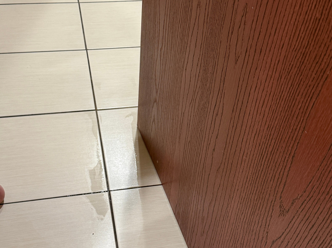 弗兰肯默斯智选假日酒店主图