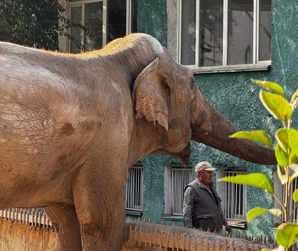 Almaty Zoo-阿拉木图必去景点