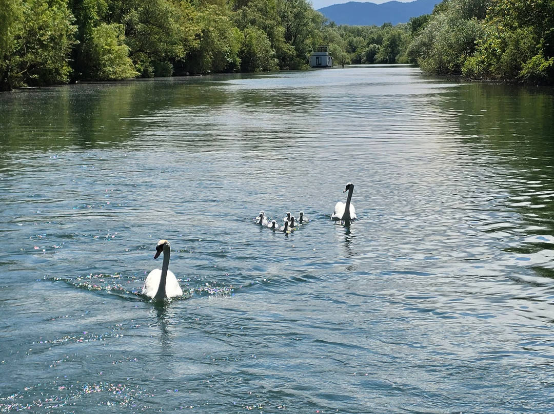 Boat Cruise Emonca - Ljubljana-卢布尔雅那必去景点