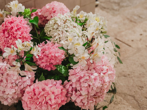 杜拉克夫人酒店主图