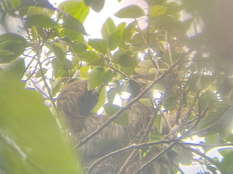 Manuel Tour Guide-卡维塔必去景点