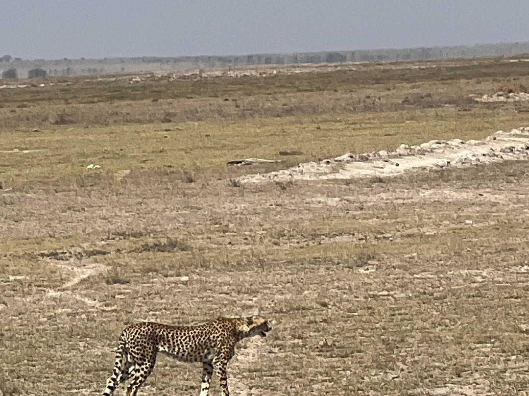Antony Kenya Safari-瓦塔木必去景点