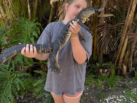 Croc Encounters-坦帕必去景点