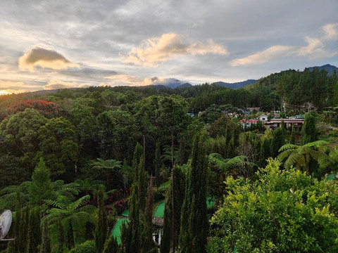 大希莱恩森林公园度假村主图