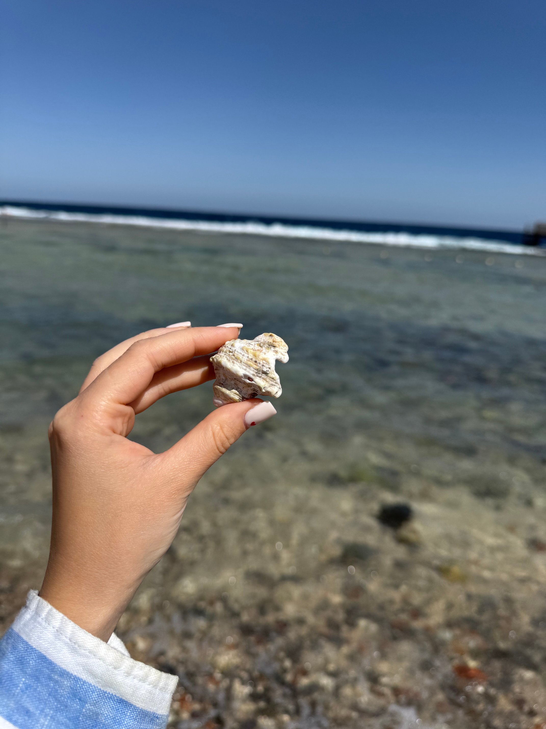 太湖毛卡迪高地酒店-官方