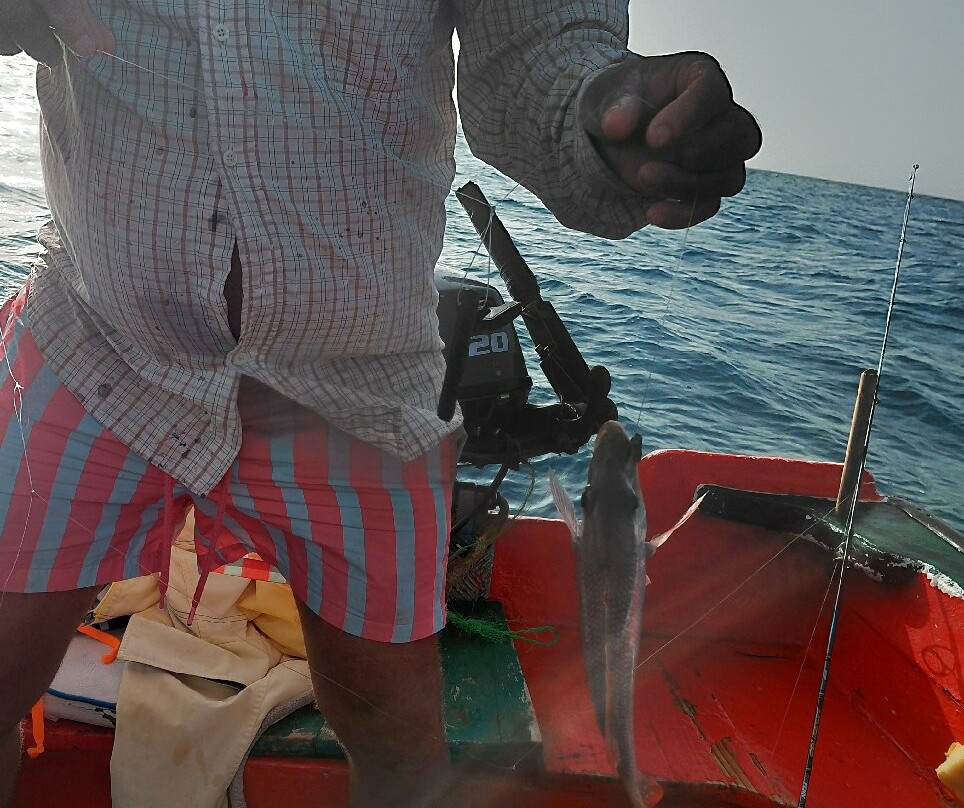 Cabo Verde Fishing Center-明德卢必去景点