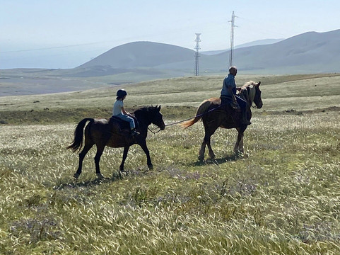Lanzarote a Caballo-兰萨罗特必去景点