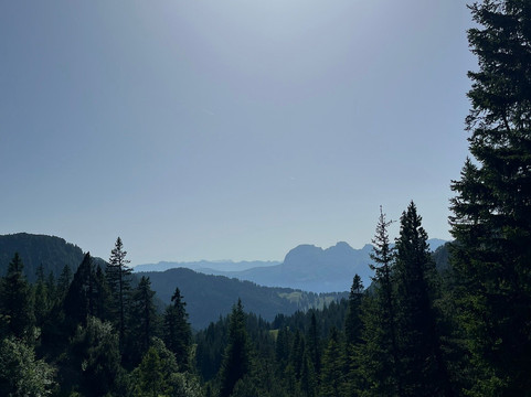 加林娜猎鹰酒店主图