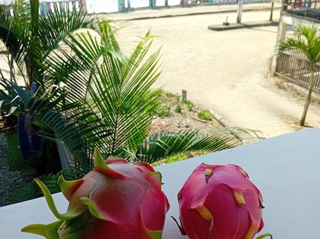 Hostal Mirada Al Mar主图