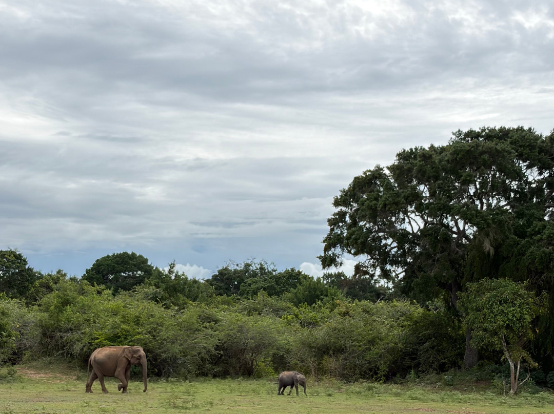 Sri Lanka Trails Travels-Kamburugamuwa必去景点