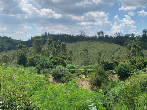 Vinícola Ifanger-维涅杜必去景点