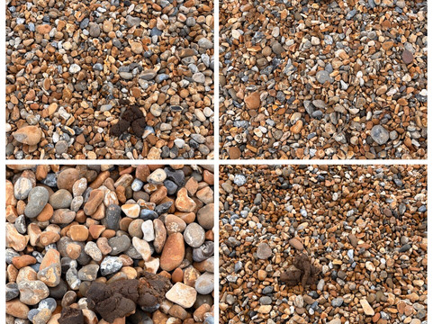 Sandgate Beach-Sandgate必去景点