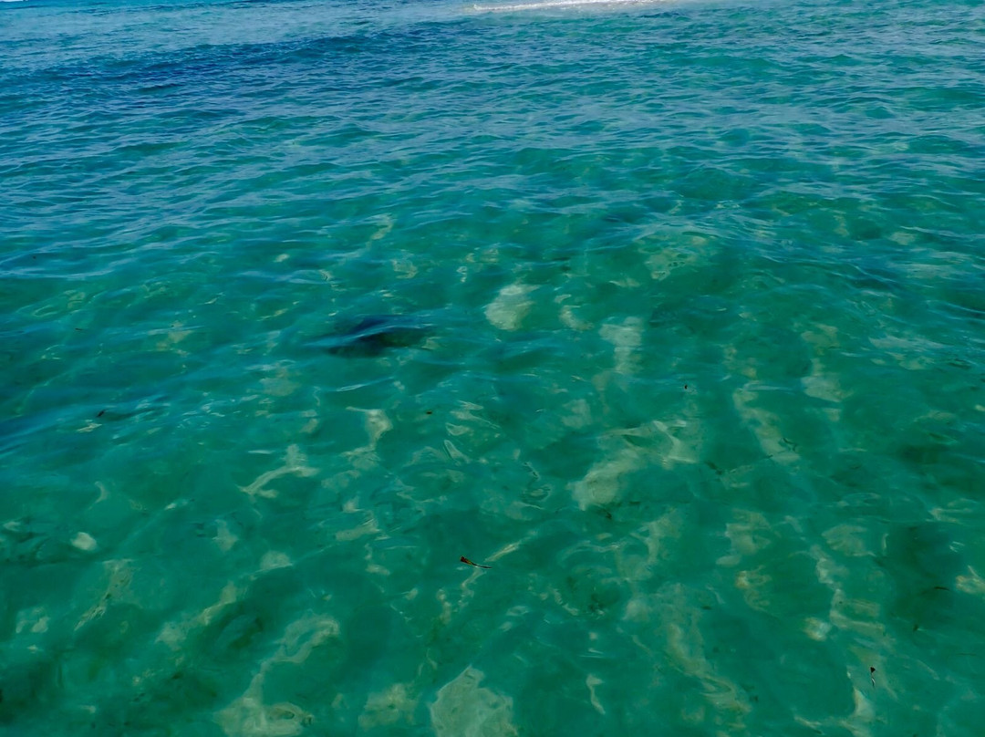 Stand Up Paddle Tobago-Canaan必去景点