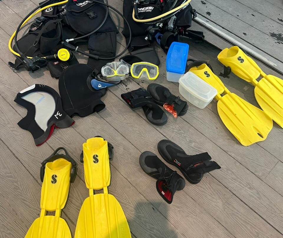 Aquanauts Diving Center-Al Aqah必去景点