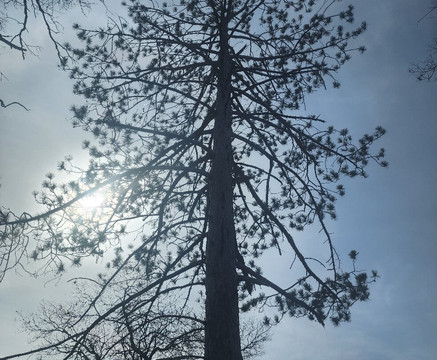 St. Croix State Park-明尼苏达必去景点