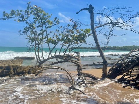 Plage Cluny-Sainte Rose必去景点