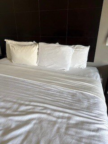 利文斯顿拉昆塔温德姆套房酒店主图