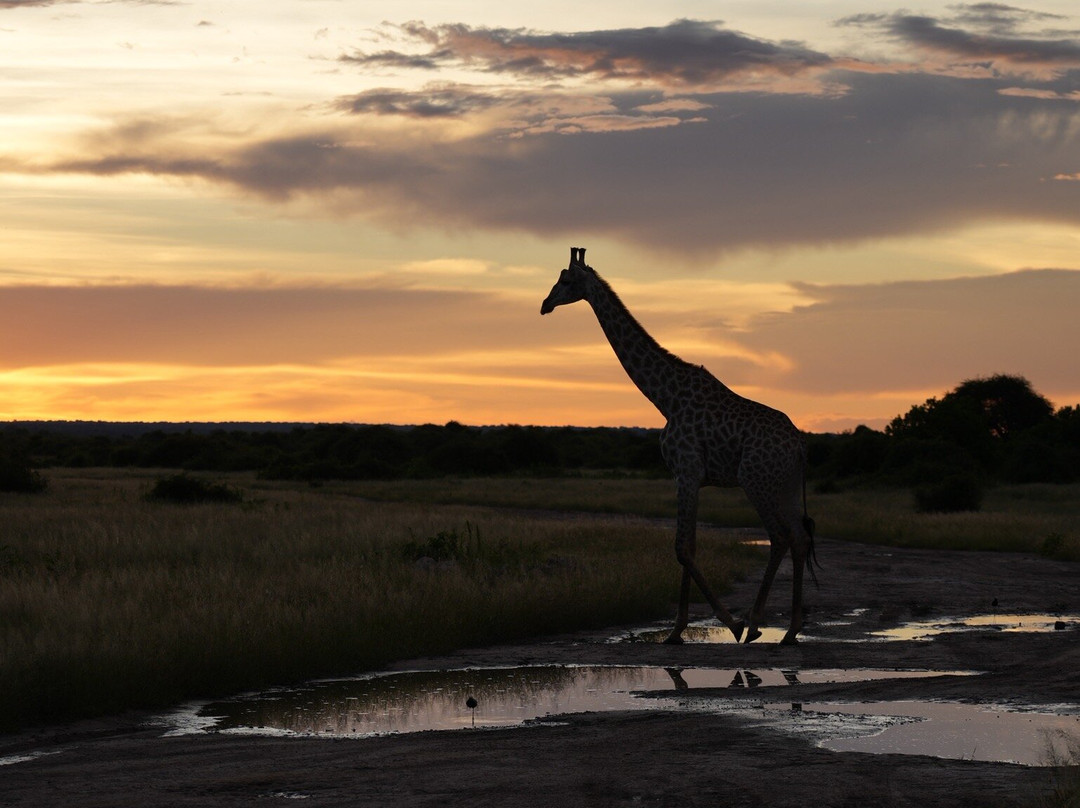 Paparazzi Namib Trails & Safaris-斯瓦科普蒙德必去景点