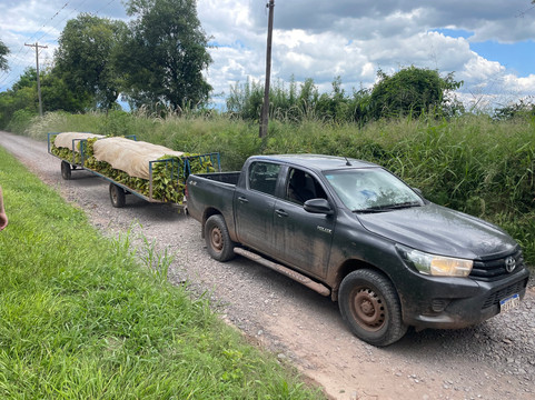 SAYTA-Chicoana必去景点