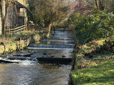 Parc Glynllifon-卡那封必去景点