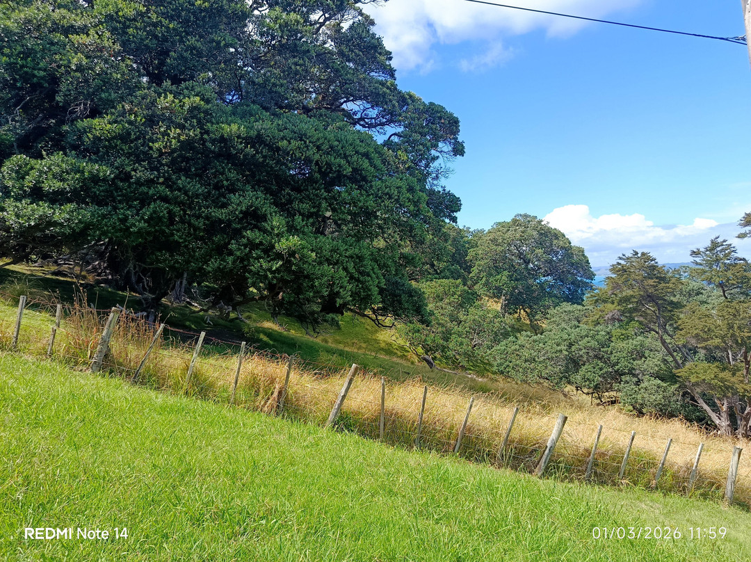 Kennedy Point Vineyard-Surfdale必去景点