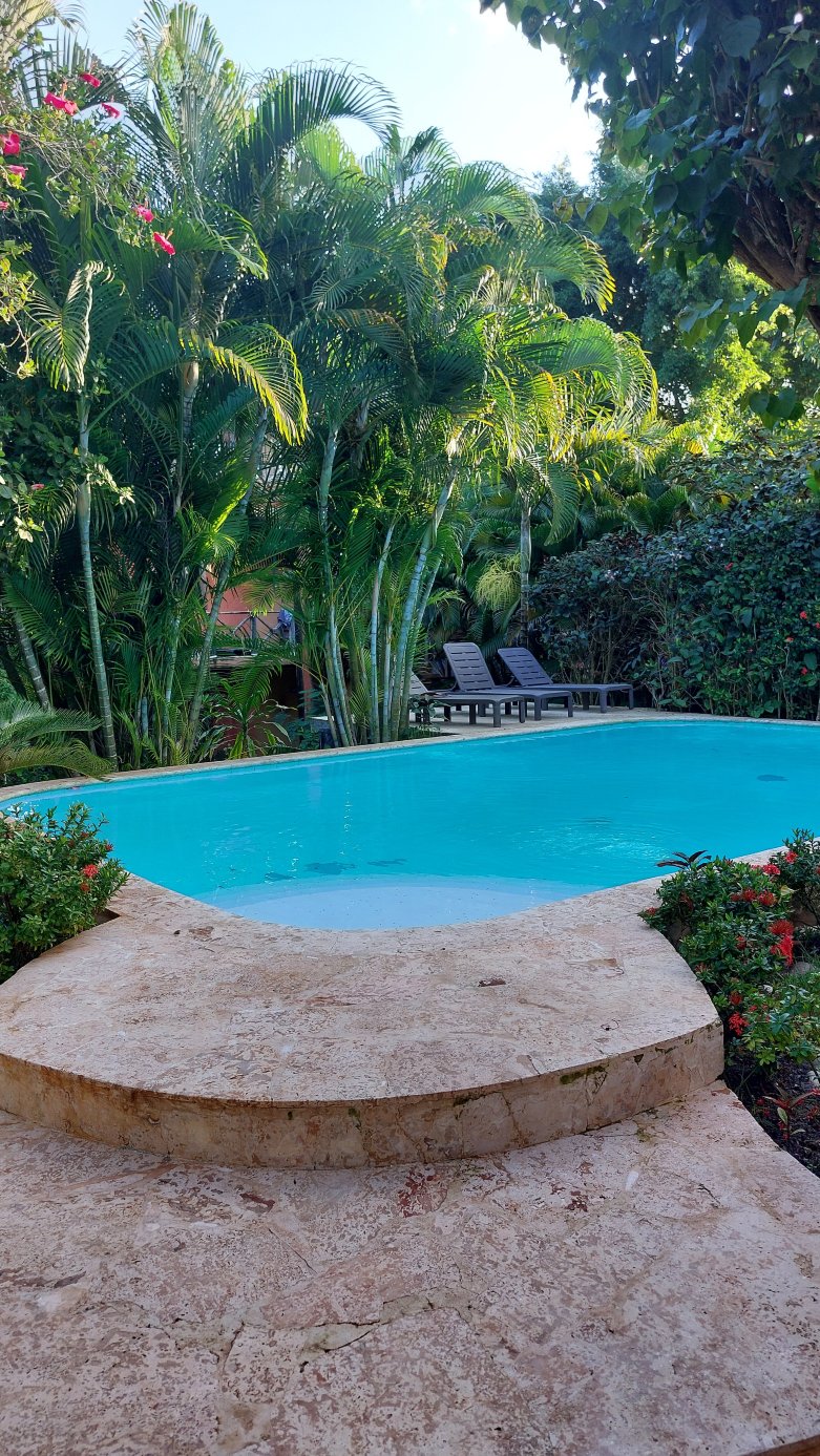 Surfbreak Cabarete B&B Surf And Yoga-泳池