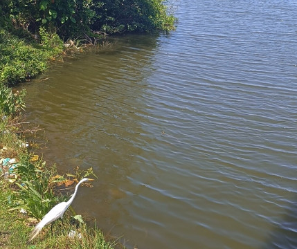Praia Grussai-Sao Joao Da Barra必去景点