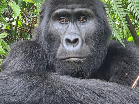 Empirical Tour and Travel Ltd-吉塞尼必去景点