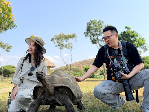 young_lion_safaris-莫西必去景点