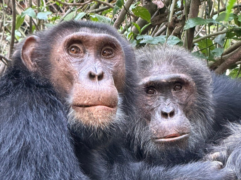 Albrieux Africa Tours Uganda Ltd-坎帕拉必去景点