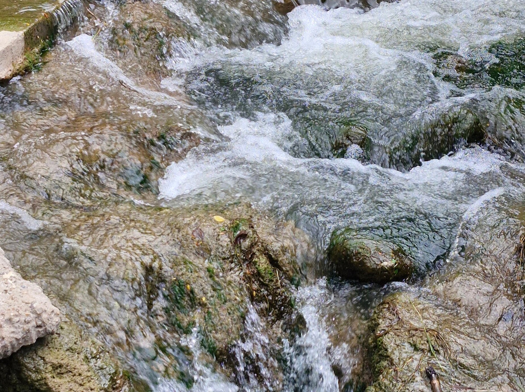 Balneario Municipal de Salto-Salto必去景点