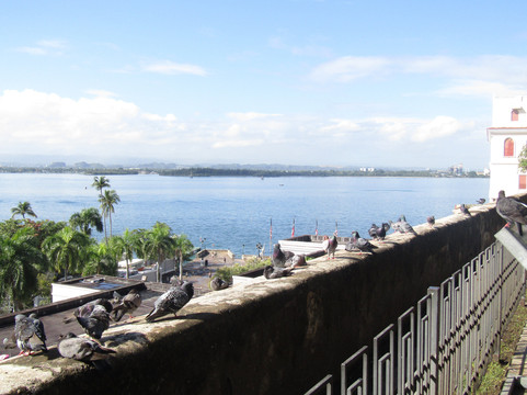 帕克达拉斯帕洛马斯-圣胡安必去景点