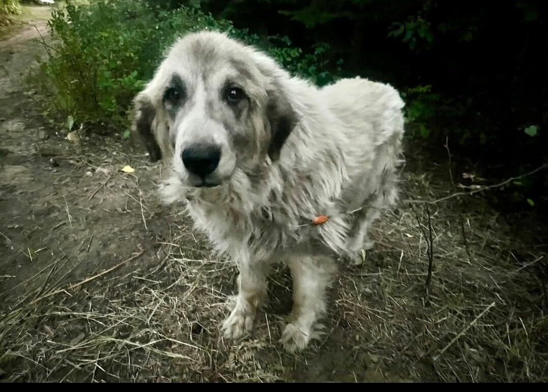Spokane Trail Rides-斯波坎必去景点