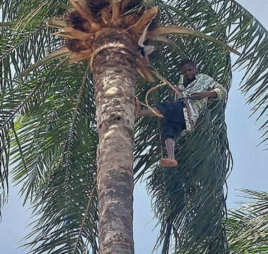 Fair Play Gambia-Janjanbureh必去景点
