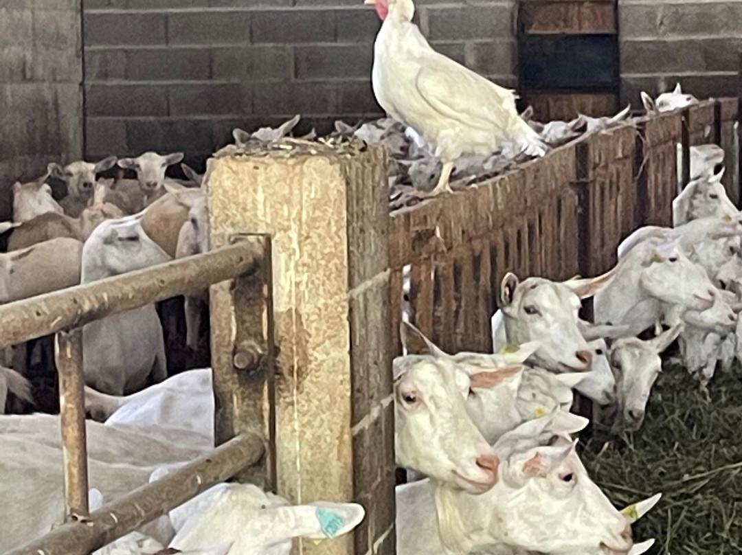 Madame Voyage En Provence-Rognes必去景点