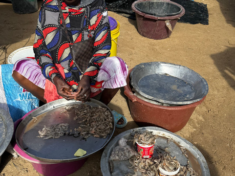 Guide to Sénégal-Ponto必去景点
