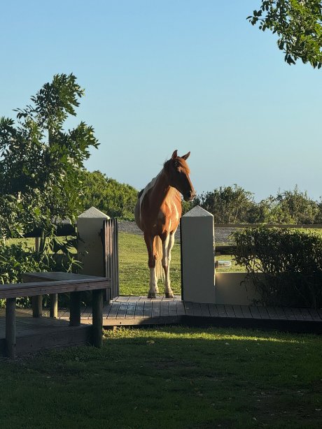 奥伊斯特贝酒店-官方